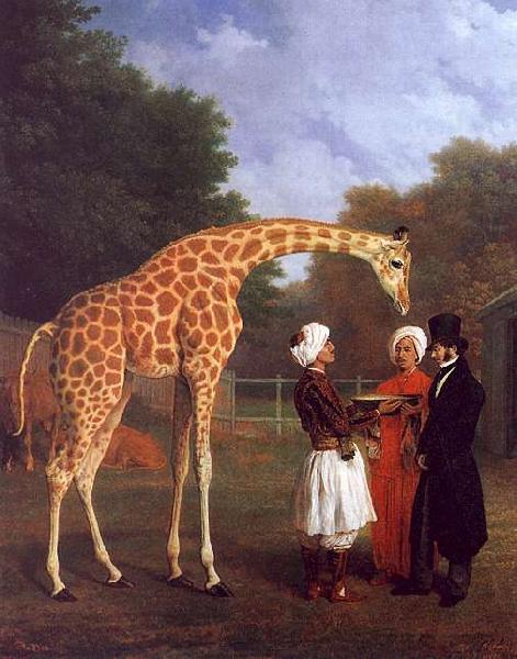 Jacques-Laurent Agasse The Nubian Giraffe Sweden oil painting art